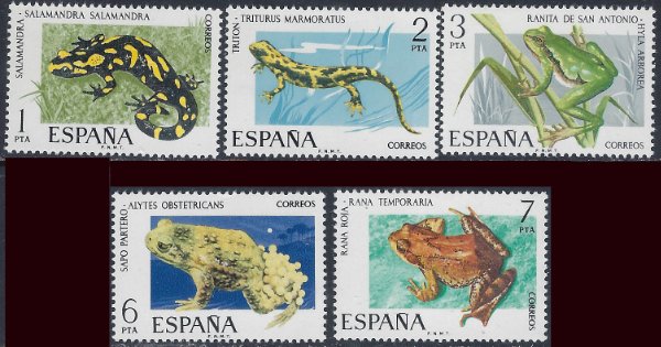 İSPANYA 1975 Fauna - Amfibiler