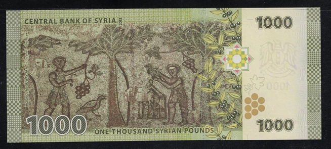 Suriye 1000 Paund Çil
