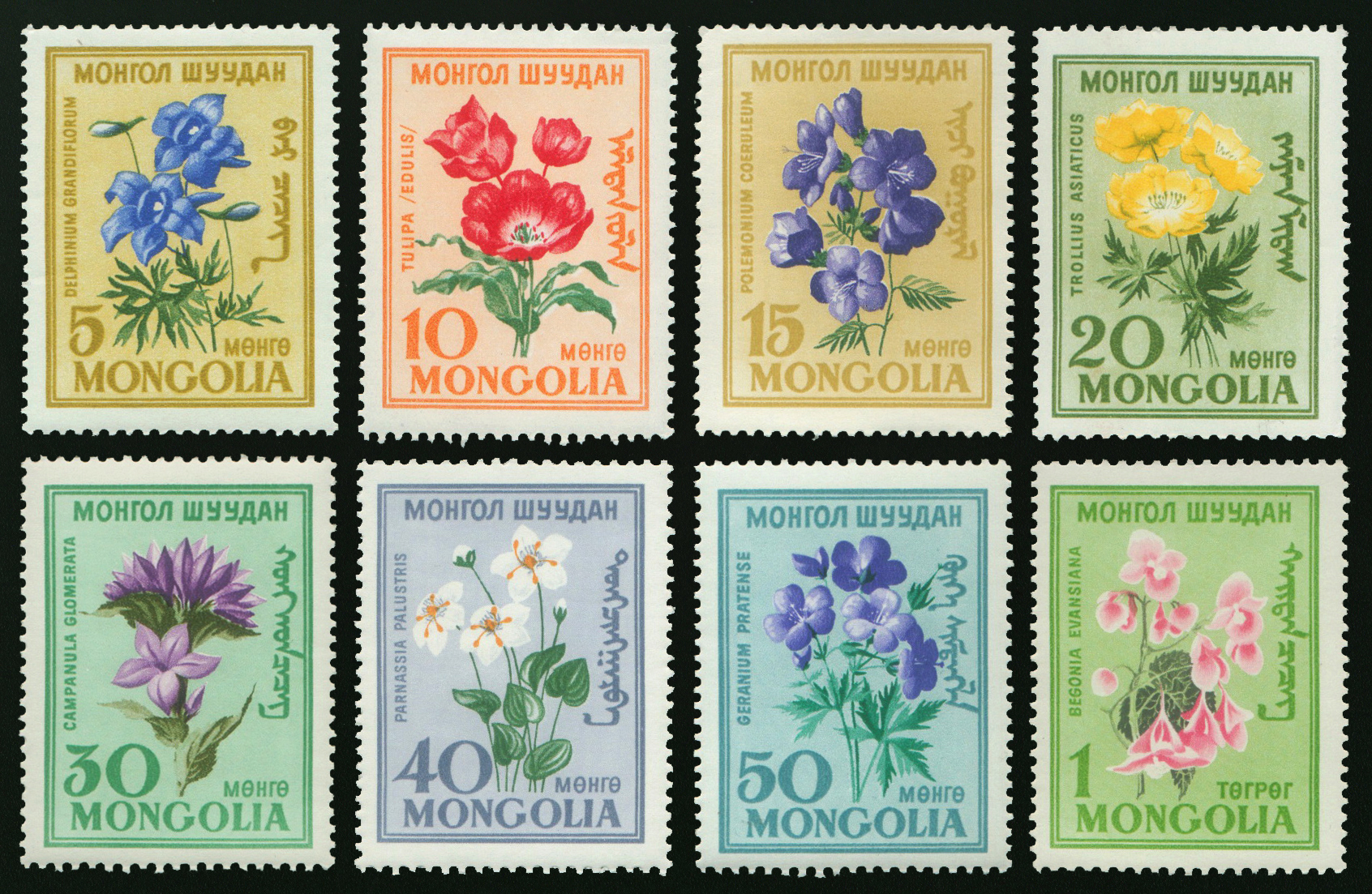 MOĞOLİSTAN 1960 ÇİÇEKLER