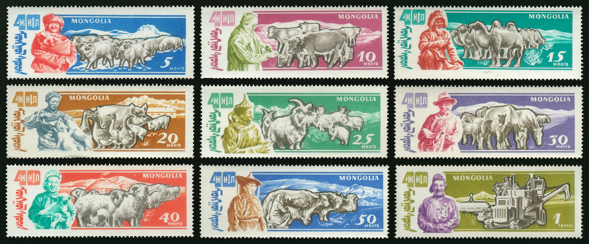 MOĞOLİSTAN 1961 TARIM VE HAYVANCILIK