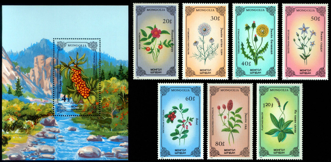 MOĞOLİSTAN 1985 TIBBİ BİTKİLER BLOK+SERİ
