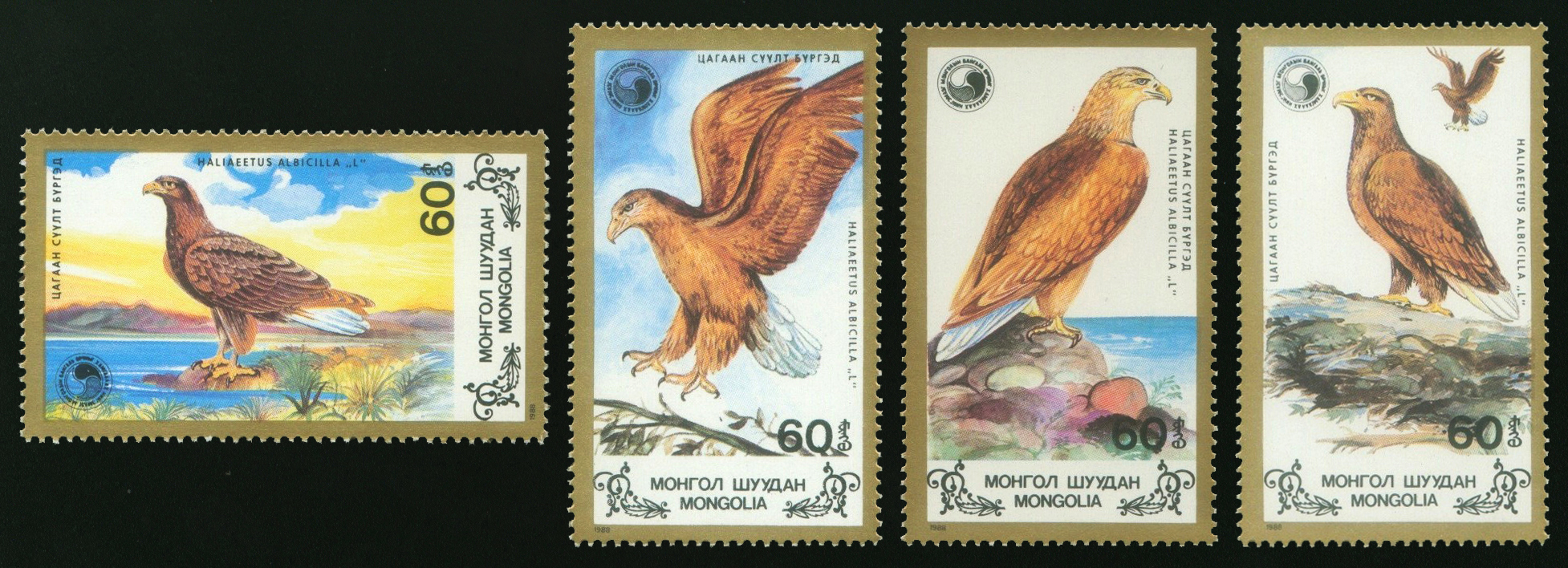 MOĞOLİSTAN 1988 KARTALLAR