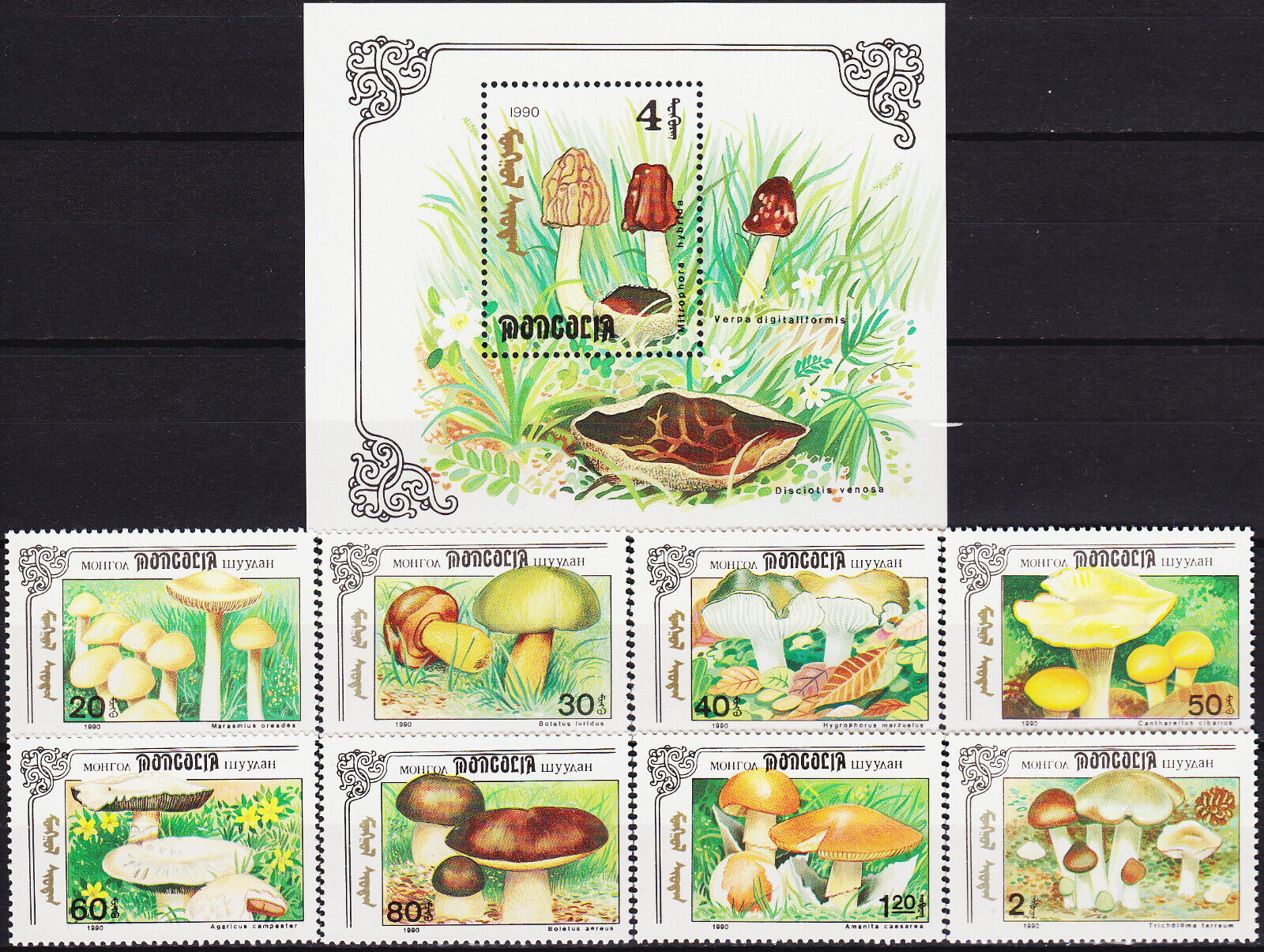 MOĞOLİSTAN 1991 MANTARLAR BLOK+SERİ TAM SET
