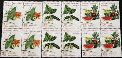 2021 KABAKGİLLER 4’LÜ BLOK MNH
