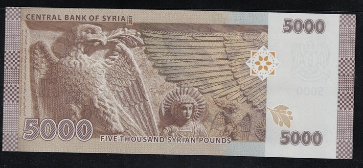 Suriye 5000 Pound 2021 Çil