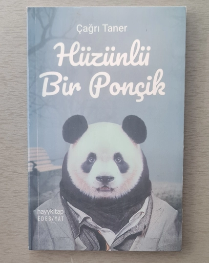 Hüzünlü Bir Ponçik - Çağrı Taner