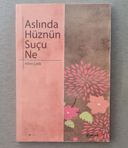 ASLINDA HÜZNÜN SUÇU NE - HILMI ÇELİK