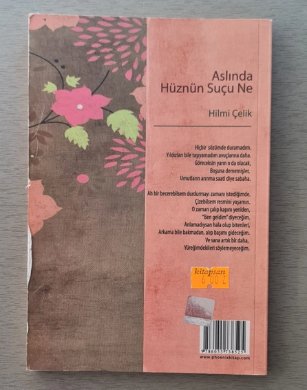 ASLINDA HÜZNÜN SUÇU NE - HILMI ÇELİK