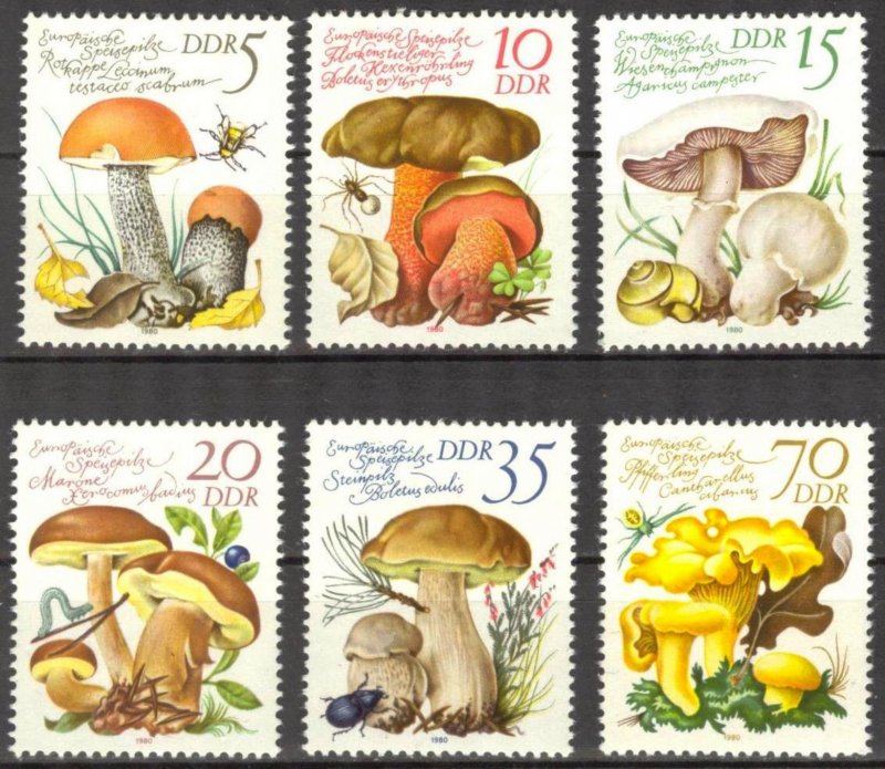 ALMANYA DDR 1980 Mantarlar