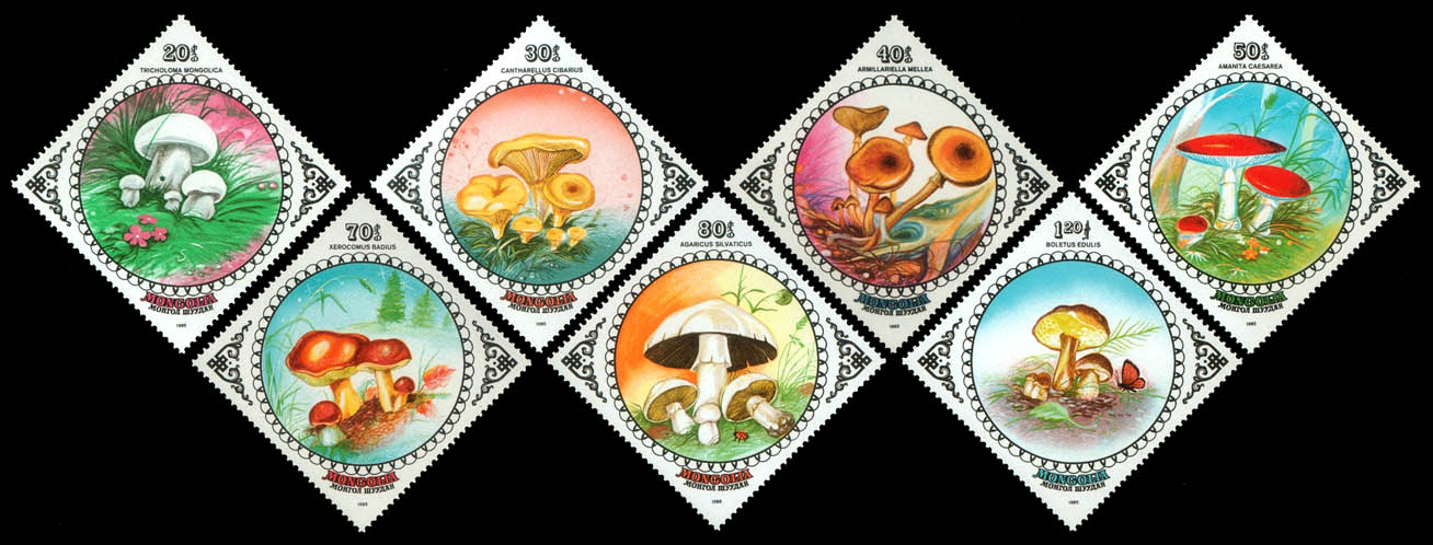 MOĞOLİSTAN 1986 MANTARLAR
