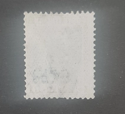 İtalya 1927 Kral Victor pulu, Damgalı