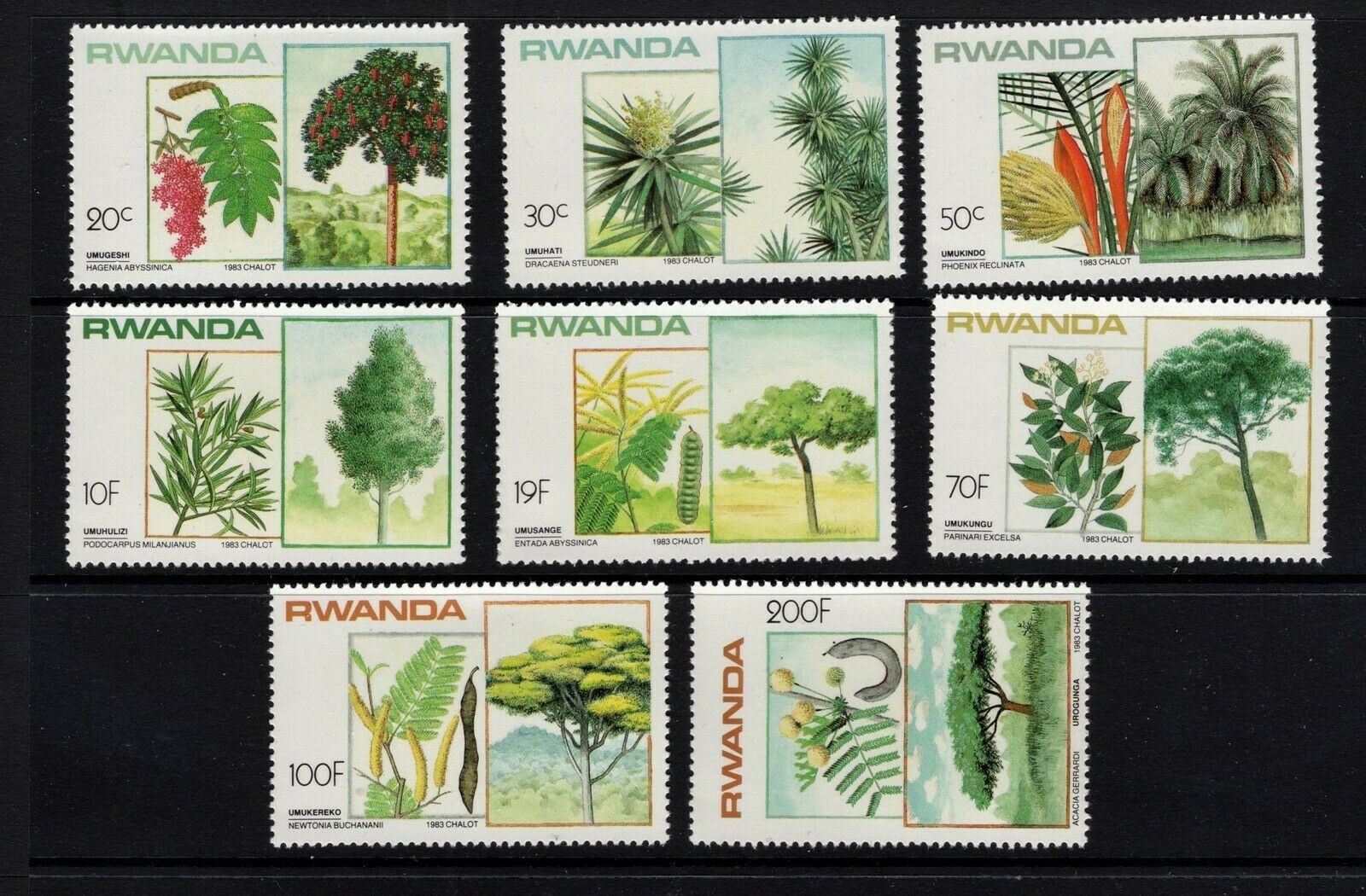 RUANDA 1984 AĞAÇLAR 