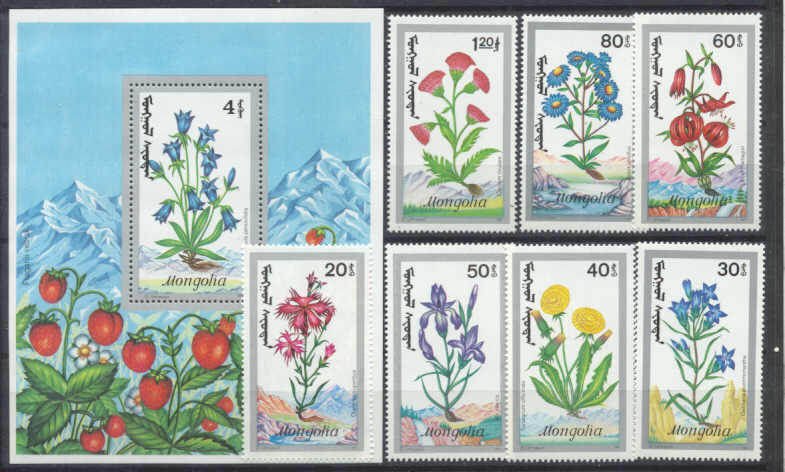 MOGOLİSTAN 1991 ÇİÇEKLER BLOK+SERİ SET