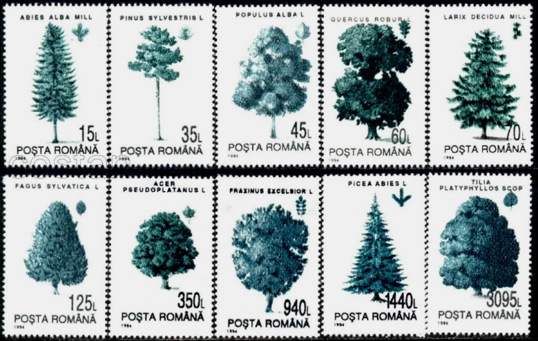 ROMANYA 1994 AĞAÇLAR