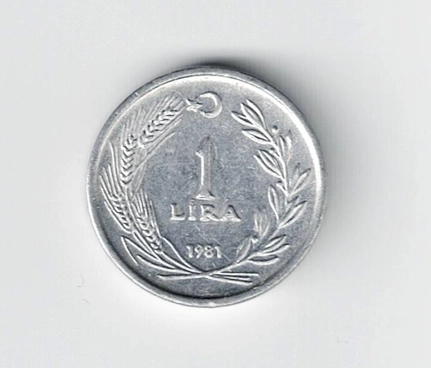 1 LİRA 1981, Alüminyum mini boy
