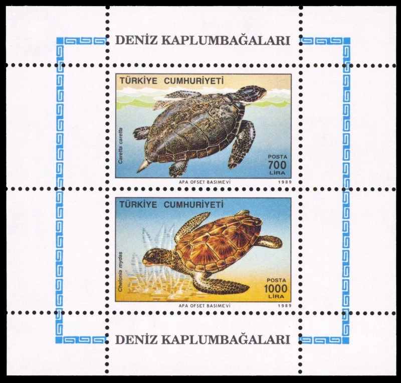 1989 DENİZ KAPLUMBAĞALARI HATIRA BLOĞU MNH