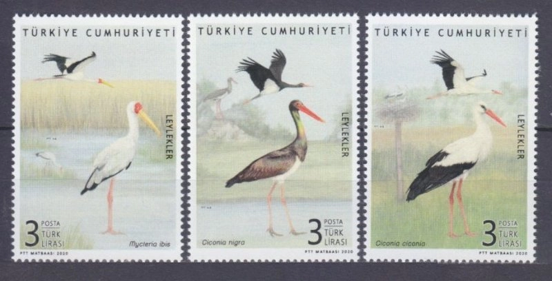 2020 LEYLEKLER MNH