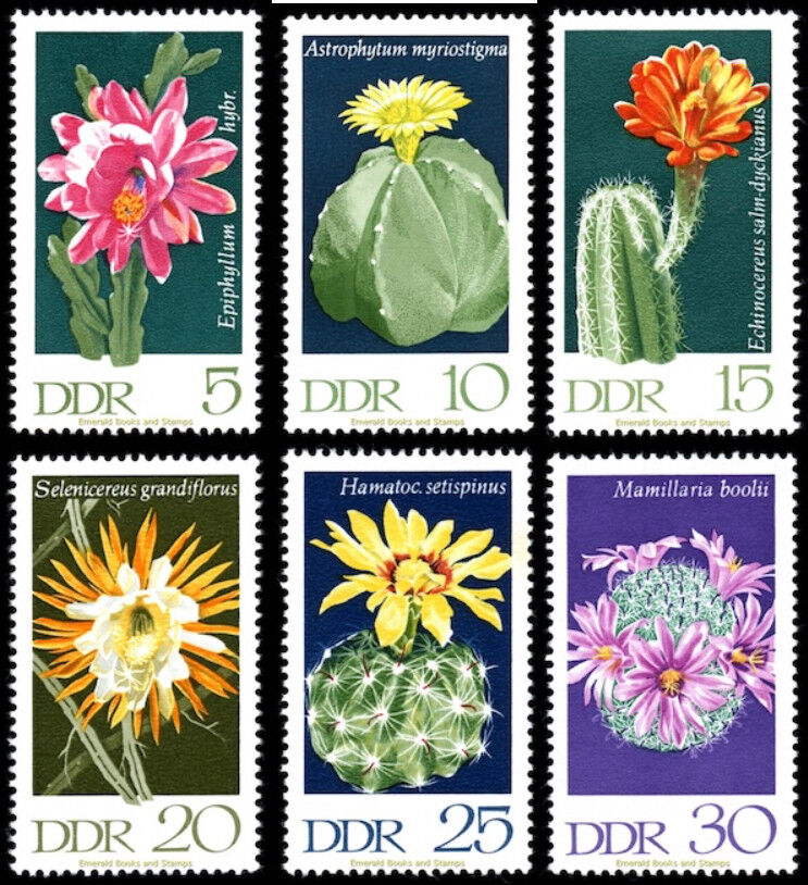 ALMANYA DDR 1970 KAKTÜSLER