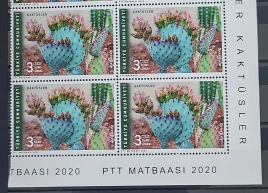 2020 KAKTÜSLER 4’LÜ BLOK MNH