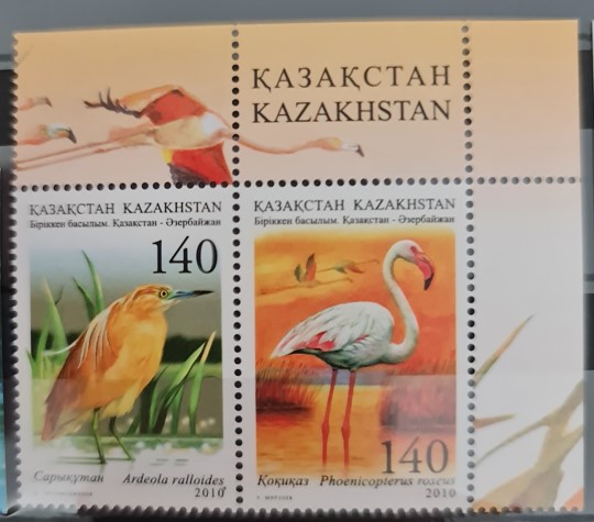 KAZAKİSTAN 2010 Kuşlar Fauna, Hazar Denizi Ekolojisi