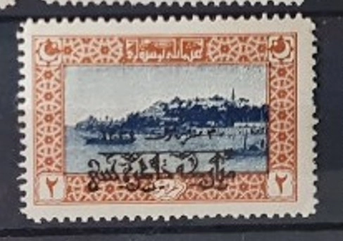 1919 SÜRSARJLI HATIRA PULU ŞARNİYERSİZ