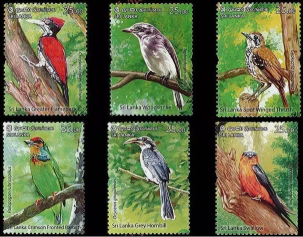 SRİ LANKA 2021 Sri Lankanın Endemik Kuşları 