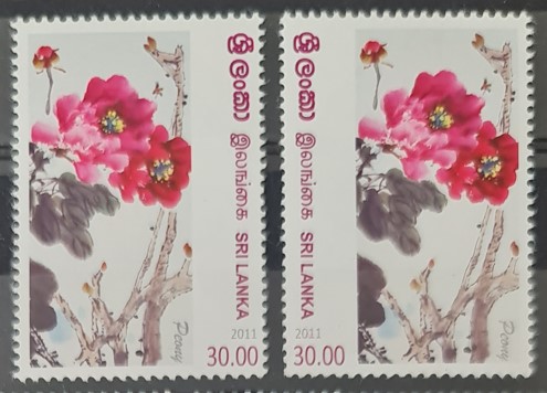 SRİ LANKA 2012 Çiçekler - Şakayık