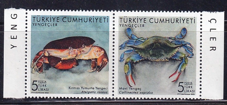 2022 YENGEÇLER 2’Lİ MNH