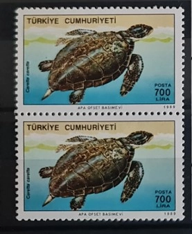 1989 DENİZ KAPLUMBAĞALARI MNH