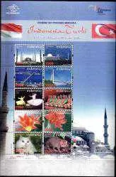 2008 ENDONEZYA TÜRKİYE ORTAK PUL (ENDONEZYA BASKISI) MNH
