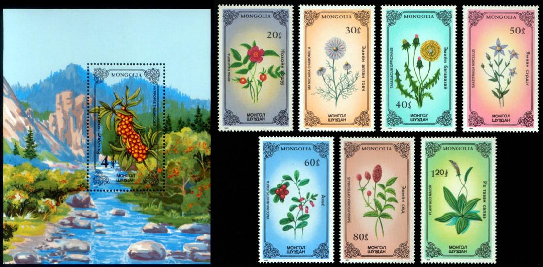 MOĞOLİSTAN 1985 TIBBİ BİTKİLER BLOK+PUL SETİ