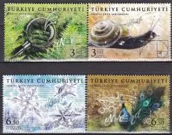 2020 FRAKTAL DOĞA YANSIMALARI MNH