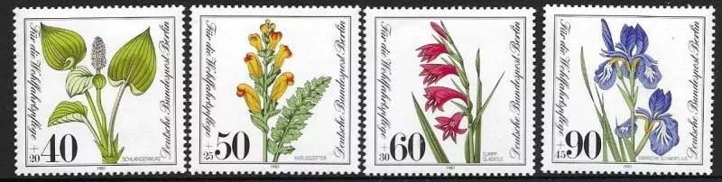 ALMANYA BERLİN 1981 ÇİÇEKLER