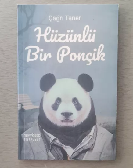 Hüzünlü Bir Ponçik - Çağrı Taner