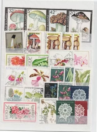 Almanya, Rusya Damgalı Koleksiyon, botanik, mantar temalı ’’Flora’’ serisine ait çeşitli pullarI - 24 ADET