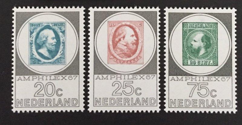 HOLLANDA 1967 AMPHILEX