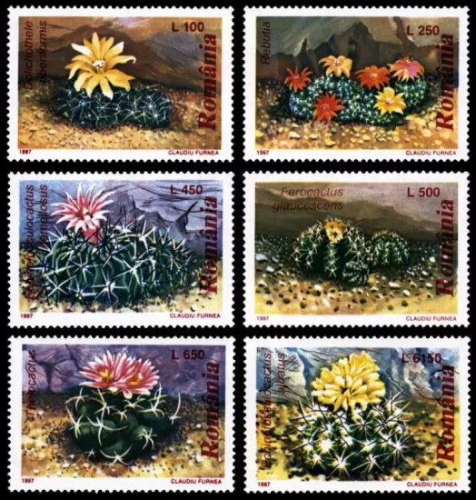 ROMANYA 1997 KAKTÜSLER