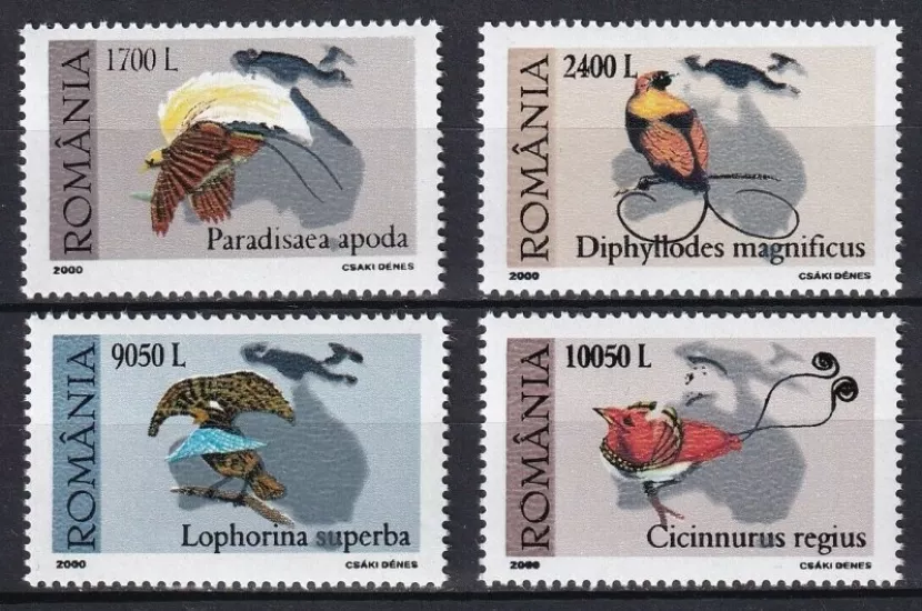 ROMANYA 2000 KUŞLAR