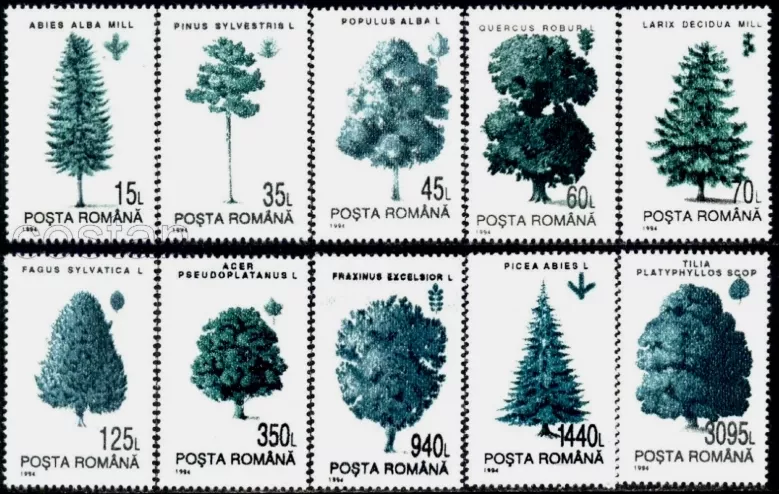 ROMANYA 1994 AĞAÇLAR