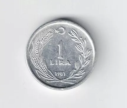 1 LİRA 1981, Alüminyum mini boy