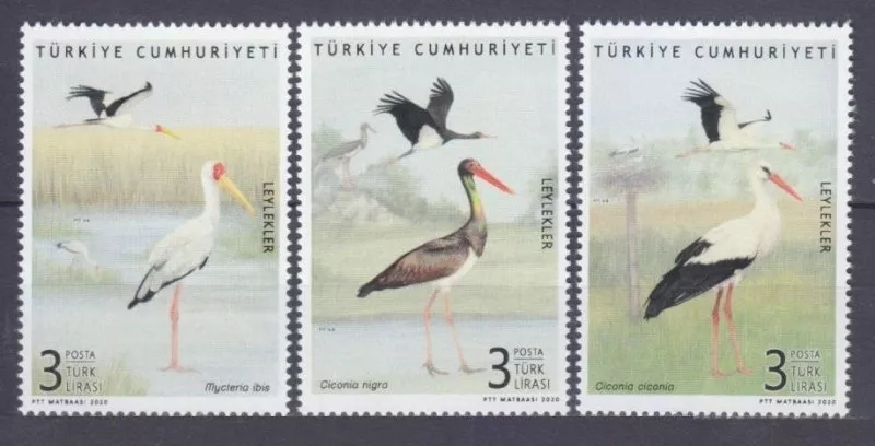 2020 LEYLEKLER MNH