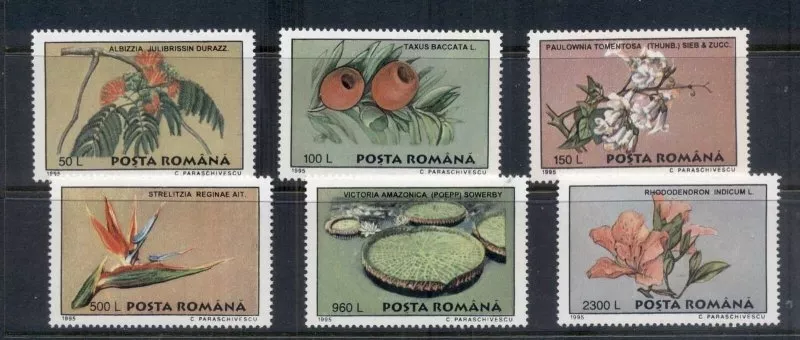ROMANYA 1995 Bükreş Botanik Bahçelerinden Bitkiler