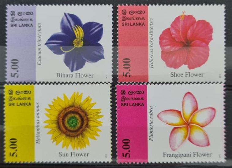 SRİ LANKA 2012 ÇİÇEKLER 