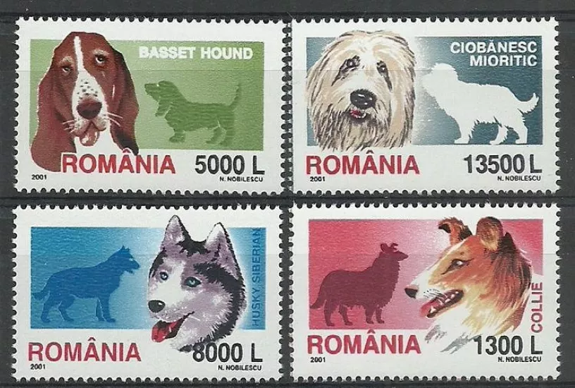 ROMANYA 2001 Köpekler