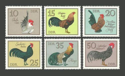 ALMANYA DDR 1979 ALMAN HOROZLARI