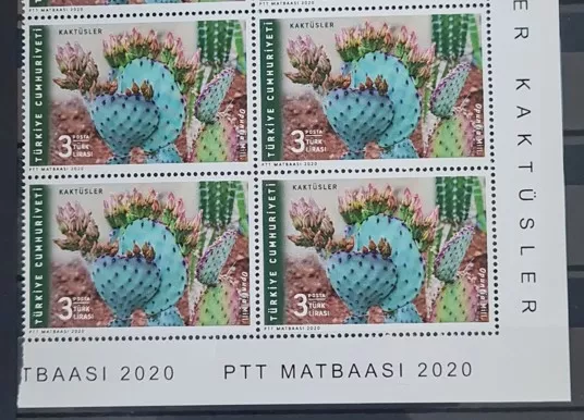 2020 KAKTÜSLER 4’LÜ BLOK MNH