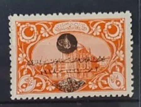 Sultan Vahdettin Cülûs 1919