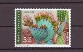 2020 KAKTÜSLER MNH