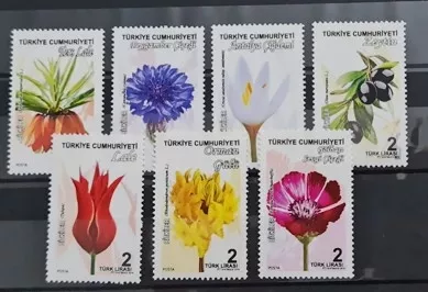 2018 BİTKİLER MNH  
