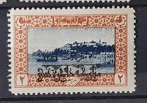 1919 SÜRSARJLI HATIRA PULU ŞARNİYERSİZ
